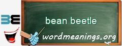 WordMeaning blackboard for bean beetle